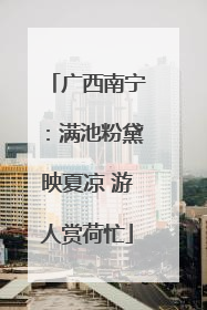 广西南宁：满池粉黛映夏凉 游人赏荷忙